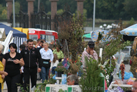 Выставка-продажа "Зеленая Усадьба" - <ro>Изображение</ro><ru>Изображение</ru> #4, <ru>Объявление</ru> #922103