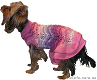 Вяжу одежду животным на заказ - <ro>Изображение</ro><ru>Изображение</ru> #7, <ru>Объявление</ru> #938691