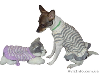 Одежда животным платье Волна - <ro>Изображение</ro><ru>Изображение</ru> #8, <ru>Объявление</ru> #915565