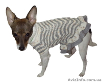 Одежда животным платье Волна - <ro>Изображение</ro><ru>Изображение</ru> #6, <ru>Объявление</ru> #915565