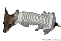 Одежда животным платье Волна - <ro>Изображение</ro><ru>Изображение</ru> #5, <ru>Объявление</ru> #915565