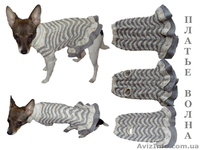 Одежда животным платье Волна - <ro>Изображение</ro><ru>Изображение</ru> #1, <ru>Объявление</ru> #915565