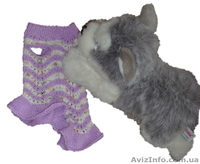 Одежда животным платье Волна мини  - <ro>Изображение</ro><ru>Изображение</ru> #4, <ru>Объявление</ru> #915560