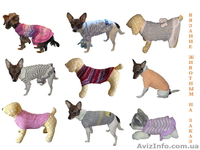 Вяжу одежду животным на заказ - <ro>Изображение</ro><ru>Изображение</ru> #4, <ru>Объявление</ru> #938691