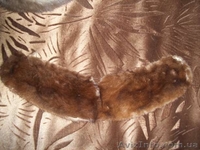 норковый берет и 2 норковых воротника - <ro>Изображение</ro><ru>Изображение</ru> #3, <ru>Объявление</ru> #968464