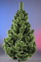 Дед Морозы и Снегурочки, новогодние елки, Санта-Клаусы - <ro>Изображение</ro><ru>Изображение</ru> #1, <ru>Объявление</ru> #997463