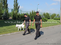 Охрана в Донецке - <ro>Изображение</ro><ru>Изображение</ru> #3, <ru>Объявление</ru> #1011758