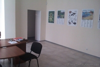 Ветка. Фасадное помещение 123 кв.м. 1-й этаж. Отдельный вход. Большие витринные  - <ro>Изображение</ro><ru>Изображение</ru> #6, <ru>Объявление</ru> #1007515