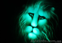 рисунки светом, волшебное шоу - <ro>Изображение</ro><ru>Изображение</ru> #3, <ru>Объявление</ru> #1030302