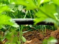 Оптом лента капельная Bradas. - <ro>Изображение</ro><ru>Изображение</ru> #1, <ru>Объявление</ru> #1055703