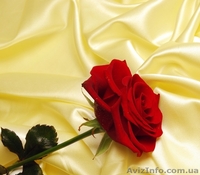 Ткани скатерные - <ro>Изображение</ro><ru>Изображение</ru> #1, <ru>Объявление</ru> #1057721