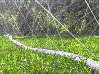 Оптом шланг, лента Туман (Golden Spray) - <ro>Изображение</ro><ru>Изображение</ru> #1, <ru>Объявление</ru> #1055705