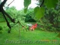 Сдам дом в деревне возле леса - <ro>Изображение</ro><ru>Изображение</ru> #5, <ru>Объявление</ru> #288090