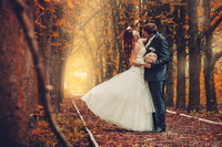 Свадебный фотограф Донецк. Свадебная фотосессия. Фотограф на свадьбу. - <ro>Изображение</ro><ru>Изображение</ru> #1, <ru>Объявление</ru> #1066325