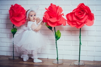 Детский фотограф Донецк. Детская фотосессия. Семейный фотограф. - <ro>Изображение</ro><ru>Изображение</ru> #1, <ru>Объявление</ru> #1066327