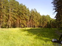 Отдых в лесу с детьми, голубые озера, сдам дачу, отпуск в деревне, охота на щуку - <ro>Изображение</ro><ru>Изображение</ru> #2, <ru>Объявление</ru> #1081291