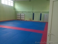 Маты спортивные Татами - <ro>Изображение</ro><ru>Изображение</ru> #2, <ru>Объявление</ru> #1089167