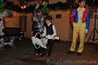 Цирковые номера на Ваш праздник Донецк - <ro>Изображение</ro><ru>Изображение</ru> #2, <ru>Объявление</ru> #1090631