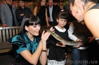 Цирковые номера на Ваш праздник Донецк - <ro>Изображение</ro><ru>Изображение</ru> #5, <ru>Объявление</ru> #1090631