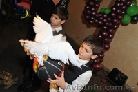 Цирковые номера на Ваш праздник Донецк - <ro>Изображение</ro><ru>Изображение</ru> #4, <ru>Объявление</ru> #1090631