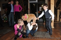 Цирковые номера на Ваш праздник Донецк - <ro>Изображение</ro><ru>Изображение</ru> #3, <ru>Объявление</ru> #1090631