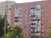 1к. кв. Калининский район, пр.Красногвардейский, (Марабушта) - <ro>Изображение</ro><ru>Изображение</ru> #3, <ru>Объявление</ru> #1101691