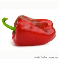 БОЛГАРСКИЙ перец и РАТУНДА - <ro>Изображение</ro><ru>Изображение</ru> #2, <ru>Объявление</ru> #1136425