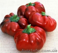 БОЛГАРСКИЙ перец и РАТУНДА - <ro>Изображение</ro><ru>Изображение</ru> #1, <ru>Объявление</ru> #1136425