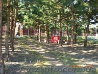 Аренда дачи для семейного отдыха  - <ro>Изображение</ro><ru>Изображение</ru> #9, <ru>Объявление</ru> #222224