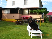 Новый год в деревне - <ro>Изображение</ro><ru>Изображение</ru> #7, <ru>Объявление</ru> #992566