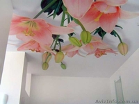 Фотопечать на натяжных потолках Донецк, Макеевка.  - <ro>Изображение</ro><ru>Изображение</ru> #1, <ru>Объявление</ru> #1198474
