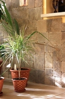 окатанная плитка из песчаника природного  - <ro>Изображение</ro><ru>Изображение</ru> #1, <ru>Объявление</ru> #1645098