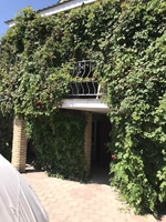 Жилой дом и бизнес на Азовском море. Белосарайская коса - <ro>Изображение</ro><ru>Изображение</ru> #1, <ru>Объявление</ru> #1712248