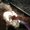 Продам щенков Кавказкой овчарки - <ro>Изображение</ro><ru>Изображение</ru> #1, <ru>Объявление</ru> #38893