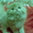 продажа персидского котёнка - <ro>Изображение</ro><ru>Изображение</ru> #1, <ru>Объявление</ru> #76787