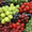 Частный плодово-ягодный питомник - <ro>Изображение</ro><ru>Изображение</ru> #1, <ru>Объявление</ru> #136491
