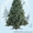 Новогодние искусственные елки и новогодние искусственные сосны от производителя - <ro>Изображение</ro><ru>Изображение</ru> #1, <ru>Объявление</ru> #415974
