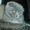 Кошечка шотландская вислоухая.Милая,плюшевая - <ro>Изображение</ro><ru>Изображение</ru> #4, <ru>Объявление</ru> #425549