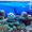 Продам аквариум Донецк 200 литров б/у - <ro>Изображение</ro><ru>Изображение</ru> #5, <ru>Объявление</ru> #496289