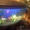 Продам аквариум Донецк 200 литров б/у - <ro>Изображение</ro><ru>Изображение</ru> #2, <ru>Объявление</ru> #496289