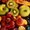 Продажа фруктов мелким и крупным оптом со склада в Одессе #550186