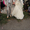 Продаю свое счастливое свадебное платье - <ro>Изображение</ro><ru>Изображение</ru> #2, <ru>Объявление</ru> #546967