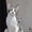 корниш-рекс котята - <ro>Изображение</ro><ru>Изображение</ru> #3, <ru>Объявление</ru> #596118