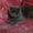 вязка кошек (шотландский вислоухий) #563768