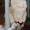 Питомник "Big Wild Cat" предлагает котят породы мейн кун - <ro>Изображение</ro><ru>Изображение</ru> #4, <ru>Объявление</ru> #600176