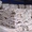 Камень ракушечник с карьера 0669972697 - <ro>Изображение</ro><ru>Изображение</ru> #4, <ru>Объявление</ru> #598770