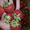 продам рассаду клубники более 10 сортов - <ro>Изображение</ro><ru>Изображение</ru> #3, <ru>Объявление</ru> #693081