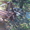 трактор ДТ-20  пресс подборщик рулонный  коса сегментная  сеялка зерновая  плуг - <ro>Изображение</ro><ru>Изображение</ru> #2, <ru>Объявление</ru> #745463
