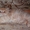 Чистокровные персидские котята - <ro>Изображение</ro><ru>Изображение</ru> #4, <ru>Объявление</ru> #284680