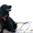 веселые щенки английского кокер-спаниеля - <ro>Изображение</ro><ru>Изображение</ru> #2, <ru>Объявление</ru> #826719